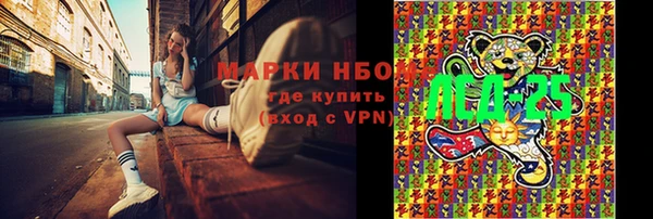 ECSTASY Новодвинск