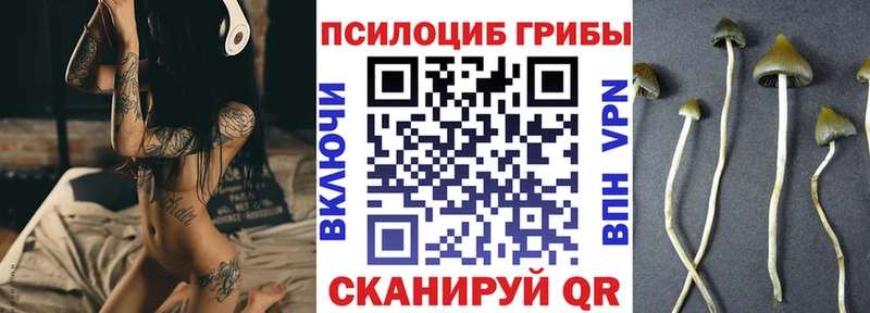 сколько стоит  Харовск  Галлюциногенные грибы MAGIC MUSHROOMS 